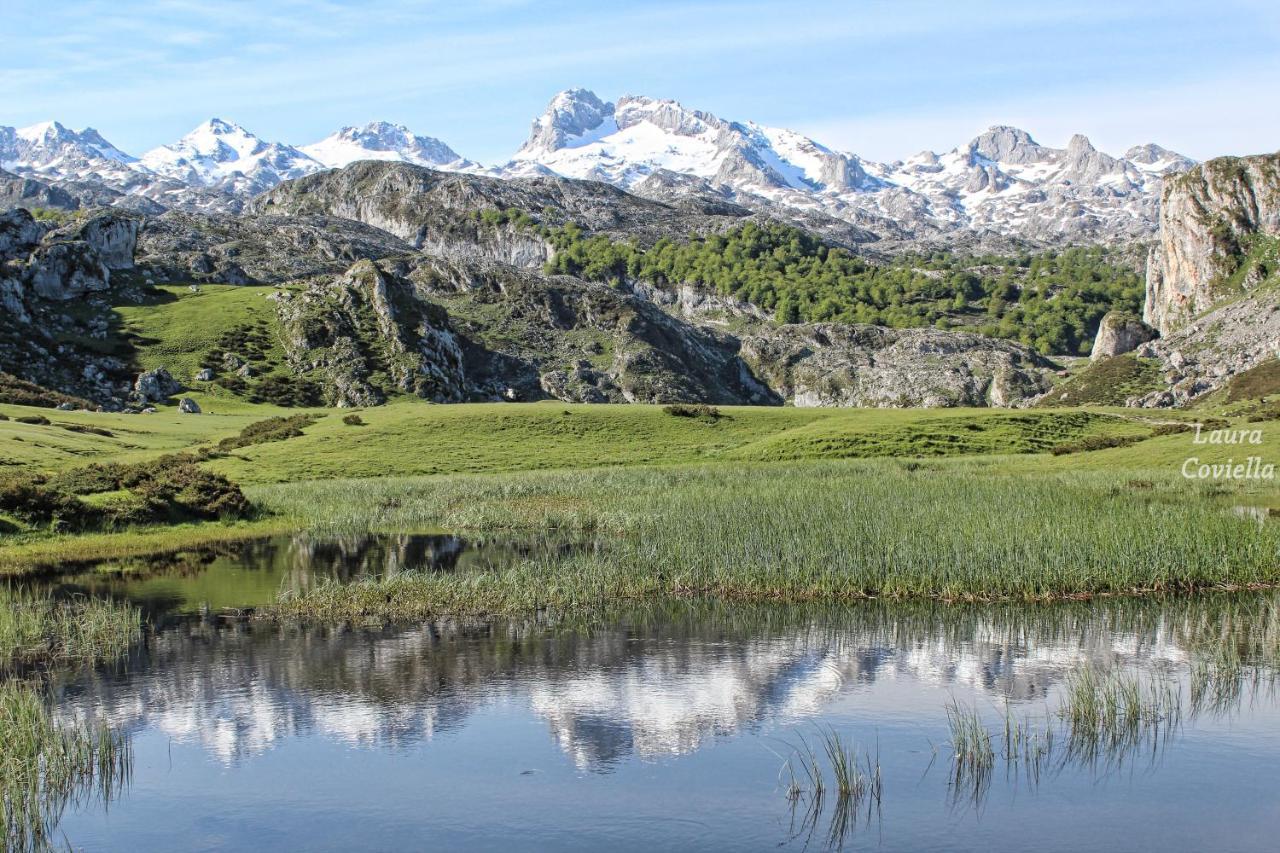 Los Campos Vivienda Vacacional Onís Exteriör bild