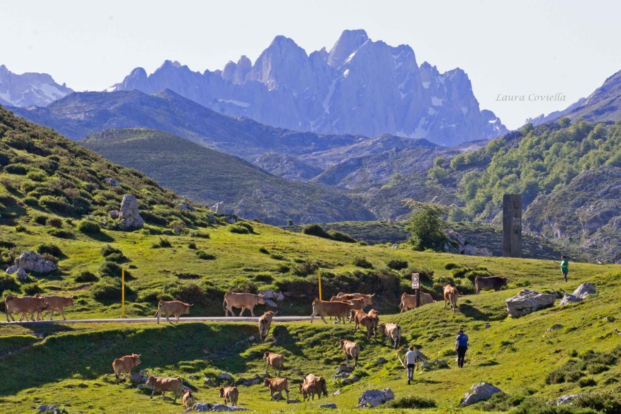 Los Campos Vivienda Vacacional Onís Exteriör bild