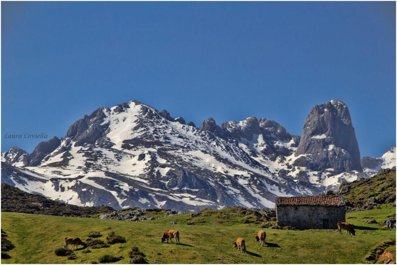 Los Campos Vivienda Vacacional Onís Exteriör bild